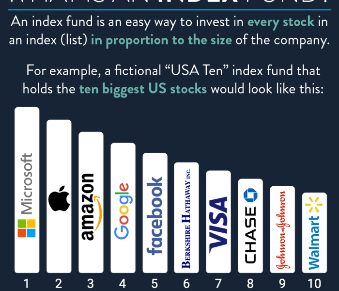 Best Index Funds To Invest In 2025 Fidelity - L Toby Cumpston