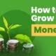 Learn how to grow your money- 10 Smart Ways - Wint Wealth