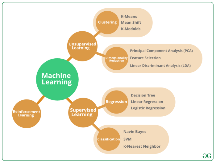 Top 10 Machine Learning Algorithms in 2024 - GeeksforGeeks